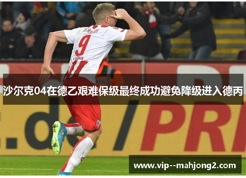 沙尔克04在德乙艰难保级最终成功避免降级进入德丙 沙尔克04在德乙艰难保级最终成功避免降级进入德丙