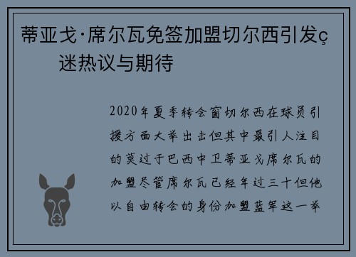 蒂亚戈·席尔瓦免签加盟切尔西引发球迷热议与期待