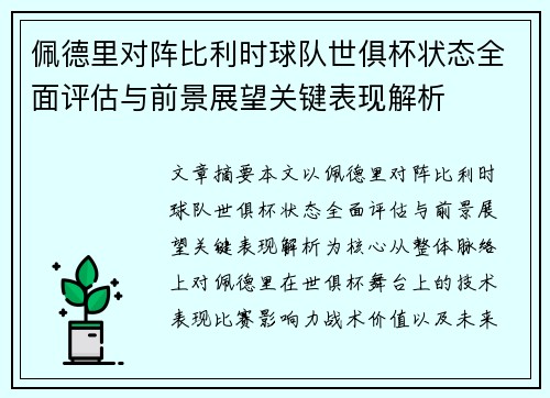 佩德里对阵比利时球队世俱杯状态全面评估与前景展望关键表现解析