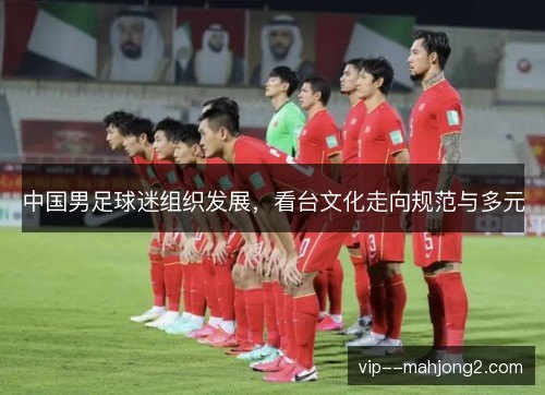 中国男足球迷组织发展,看台文化走向规范与多元 中国男足球迷组织发展,看台文化走向规范与多元
